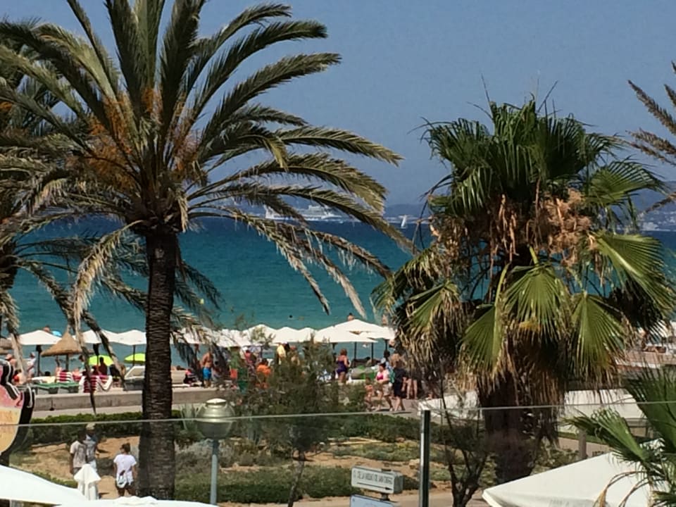 Ausblick Myseahouse Flamingo - Adults only