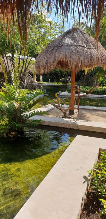 Garten Iberostar Waves Paraiso del Mar