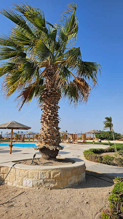 Gartenanlage Hotel Sheraton Soma Bay Resort