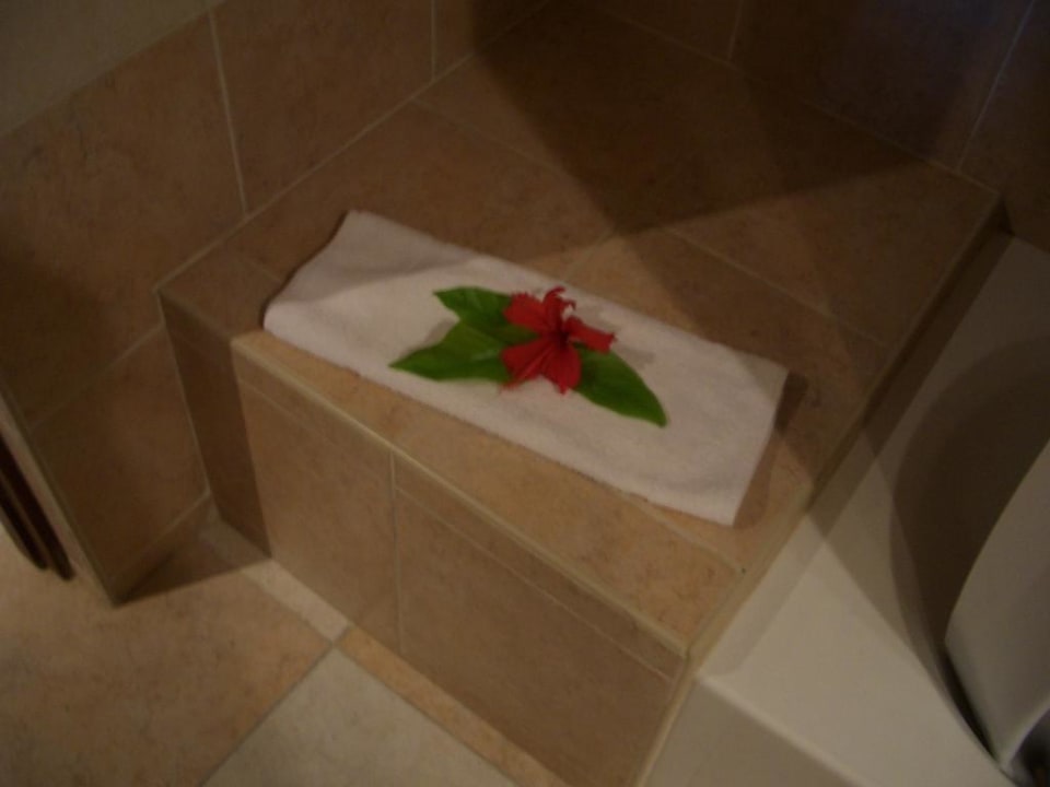 Zimmerdeko Punta Cana Princess All Suites Resort & Spa