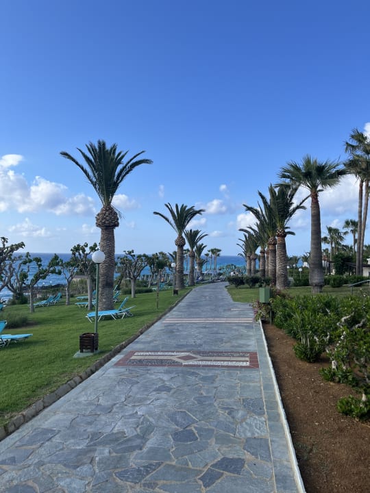 Gartenanlage Iberostar Waves Creta Panorama & Mare