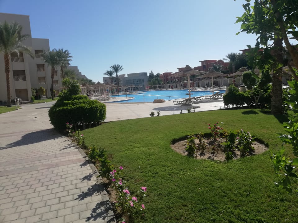 Pool Jaz Soma Beach