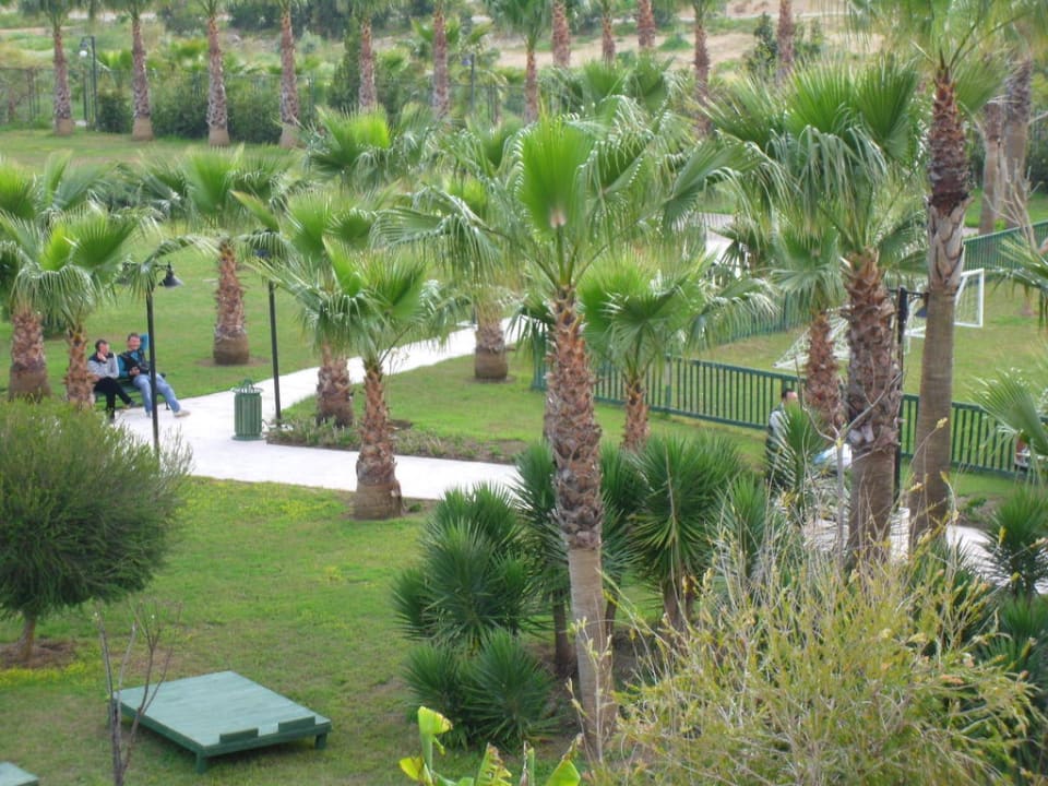 Auf dem Weg zum Strand Royal Atlantis Beach Hotel