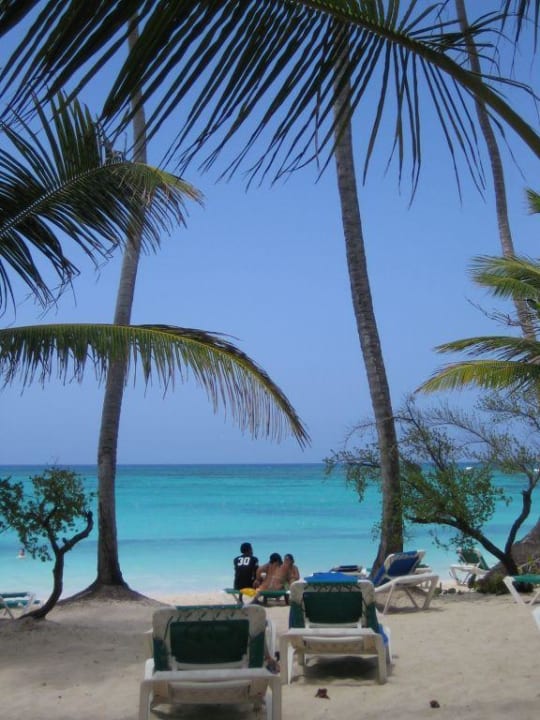 Schöner Ausblick am Strand Grand Palladium Punta Cana Resort & Spa
