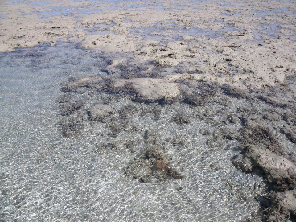 Strandverlauf Titanic Beach Spa & Aqua Park