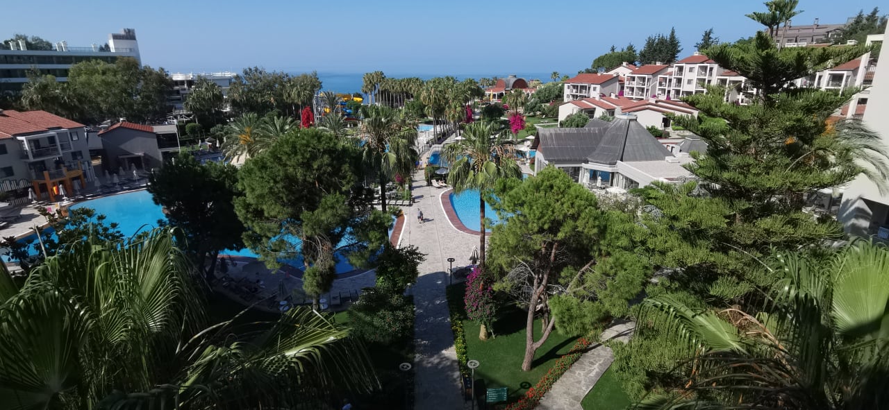 Ausblick Arum Barut Collection