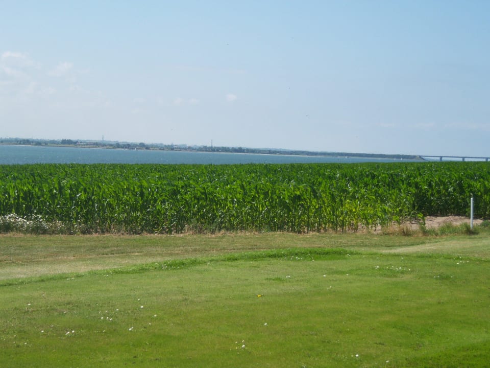 Golfplatz. Toller Golfplatz. Camping- und Ferienpark Wulfener Hals