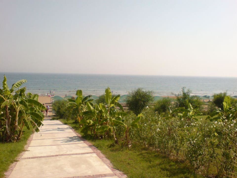 Path to the beach, ścieżka na plażę Alba Resort Hotel