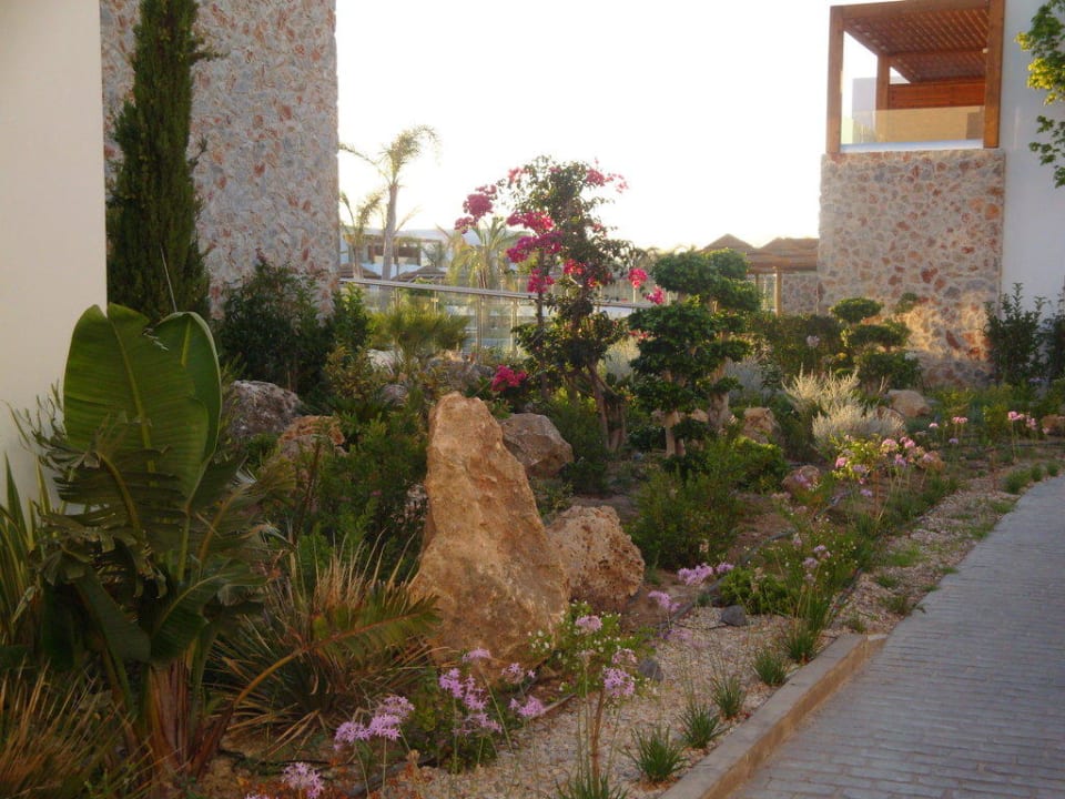 Wunderschön bepflantzte Gehwege TUI BLUE Palazzo del Mare