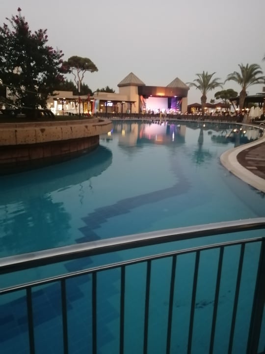 Pool Papillon Ayscha