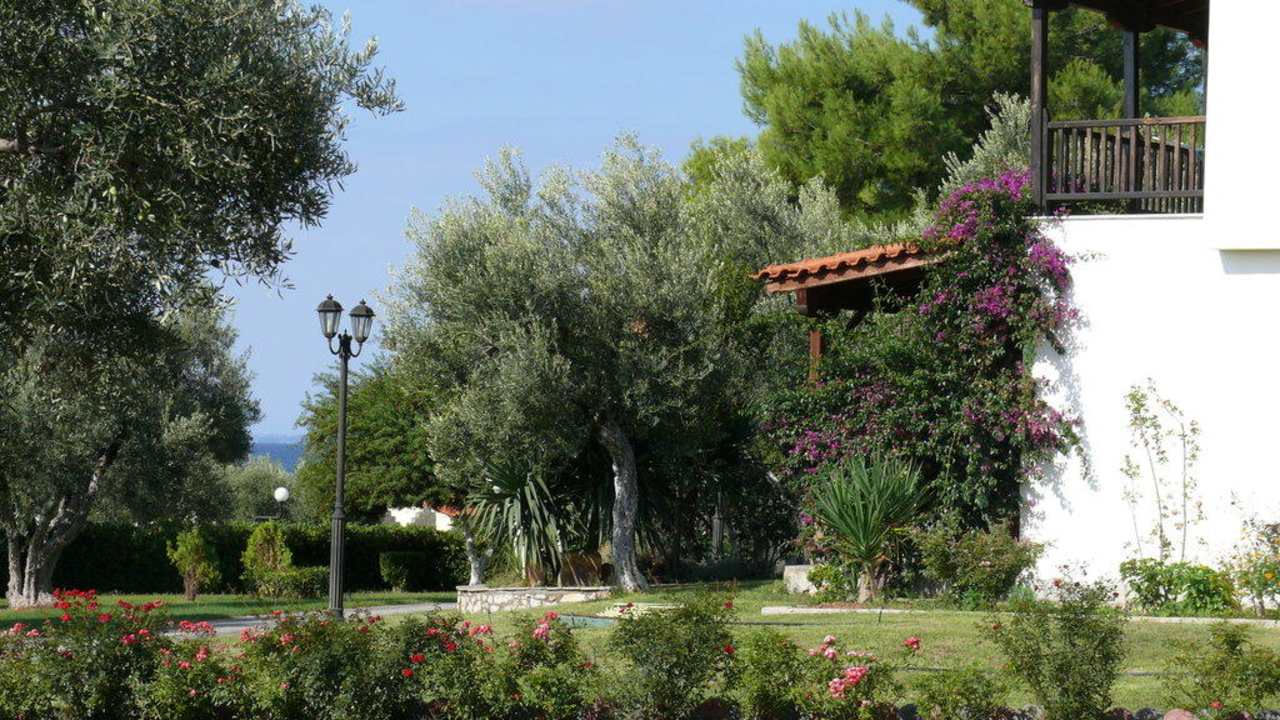 Eine Gartenimpression Blue Dolphin Resort Hotel