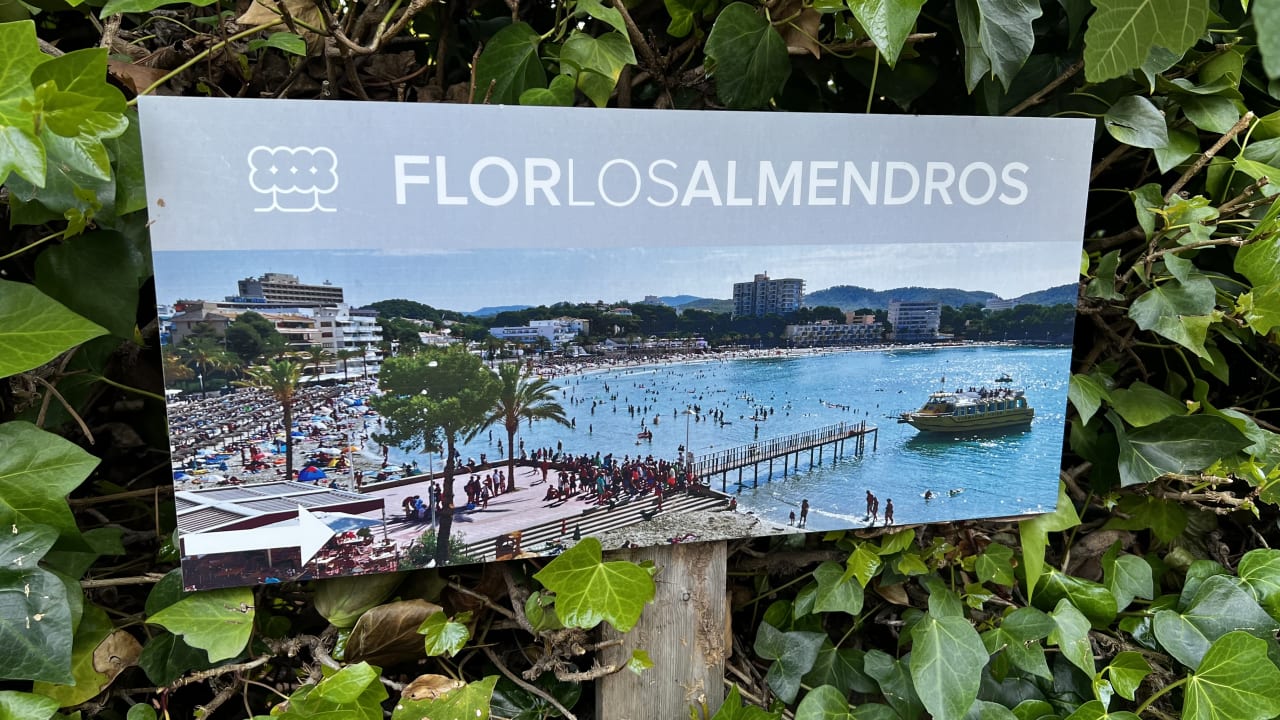 Gartenanlage FLOR los Almendros Hotel