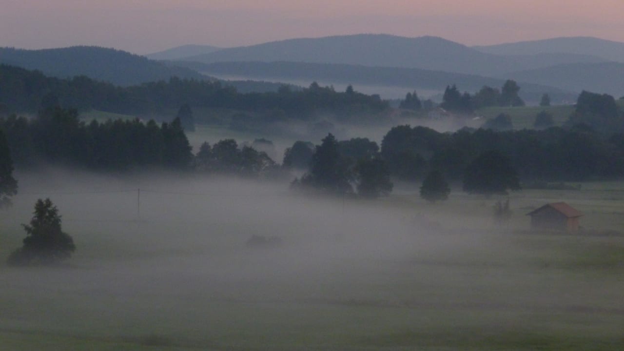 Bick vom Balkon mit Morgennebel Hotel Landgasthof Hacker