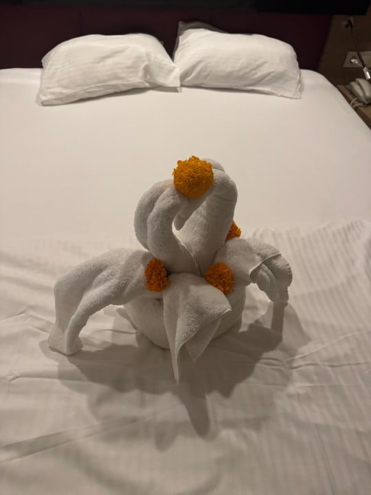 Zimmer Hotel Delphin Imperial