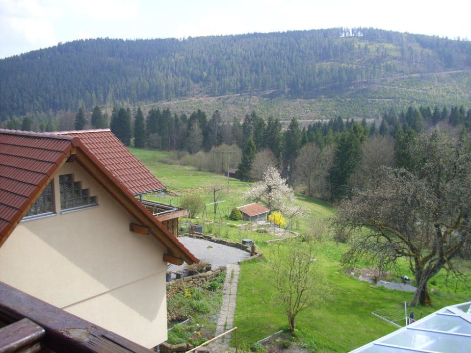 Von unserem Zimmer Schwarzwaldhotel-Gasthof Hirsch