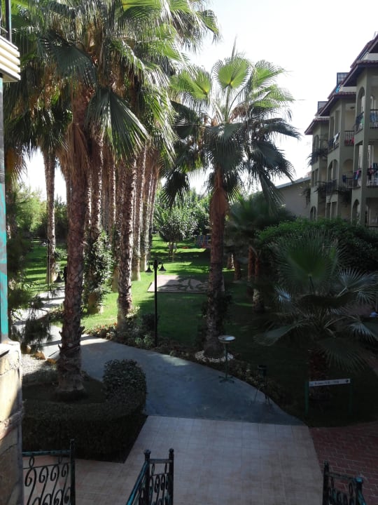 Gartenanlage Hotel Gardenia Beach