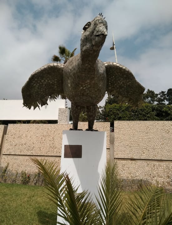 Sonstiges Allegro Agadir