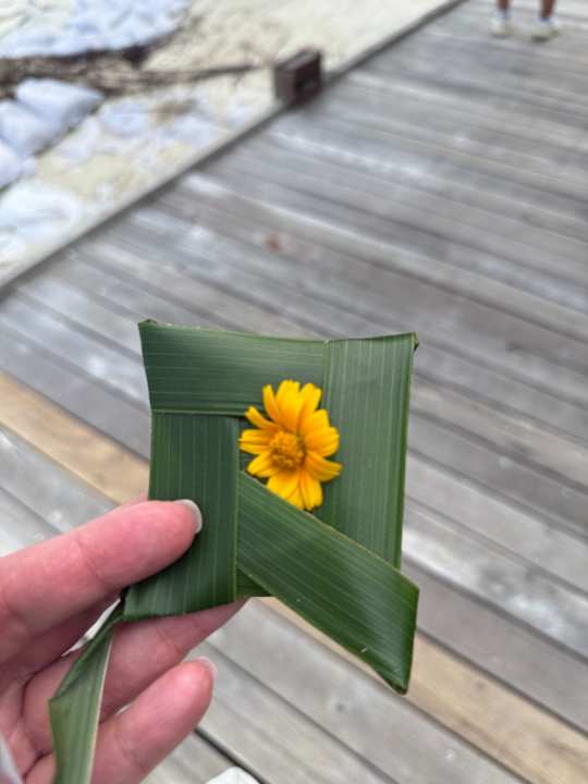 Sonstiges Fiyavalhu Resort Maldives