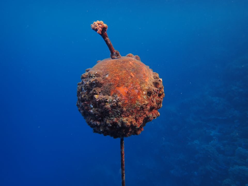 Strand Novotel Marsa Alam Beach Resort