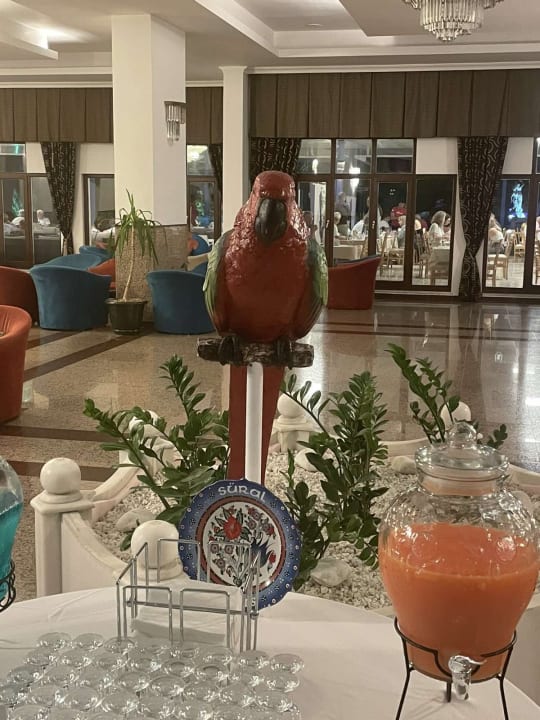 Sonstiges Süral Saray Hotel