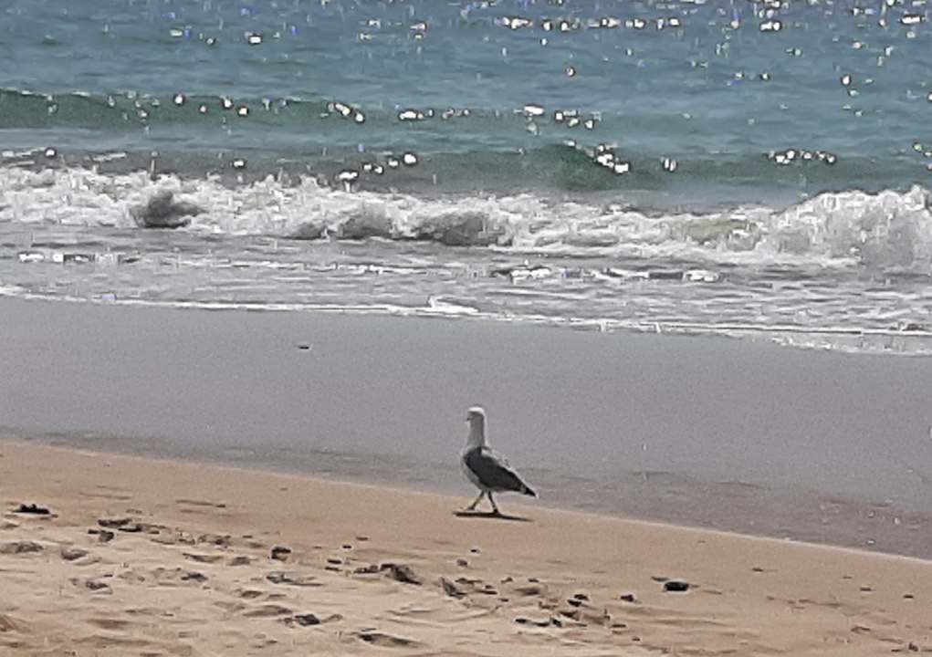 Strand Hotel Best Costa Ballena