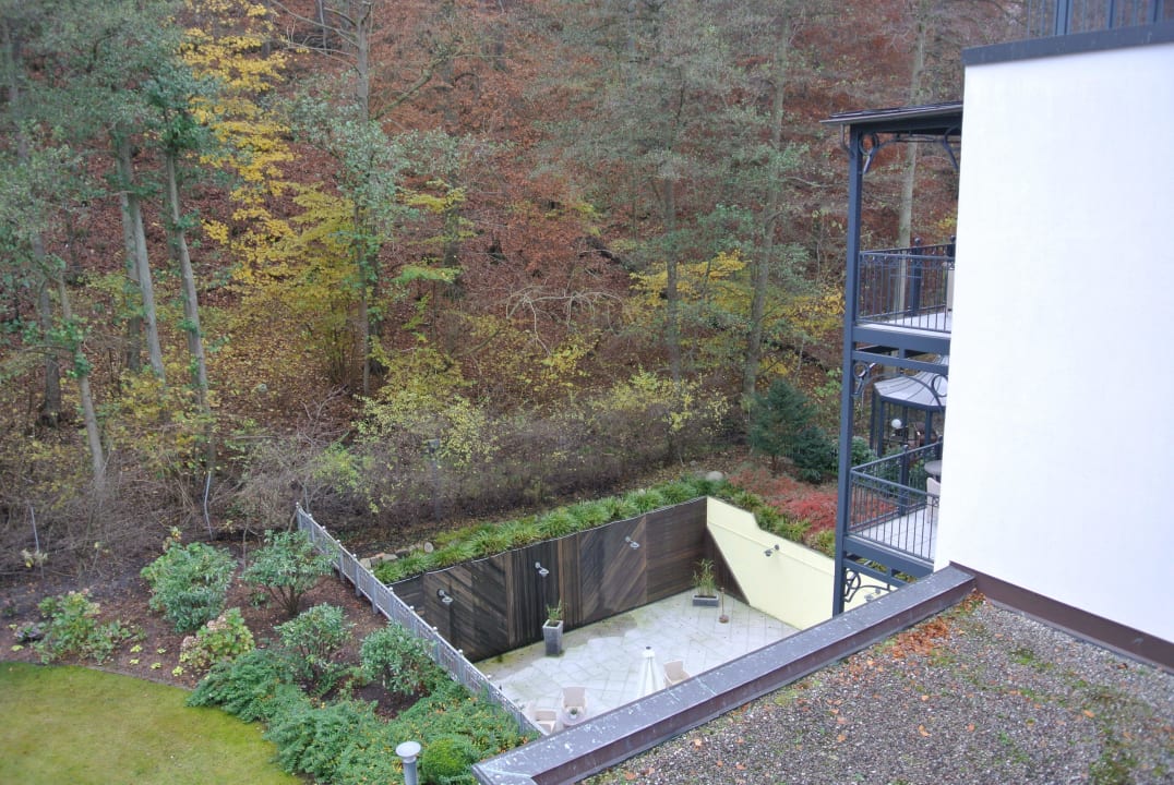 Ausblick Zimmer mit Waldblick Grand Hotel Binz by Private Palace Hotels & Resorts