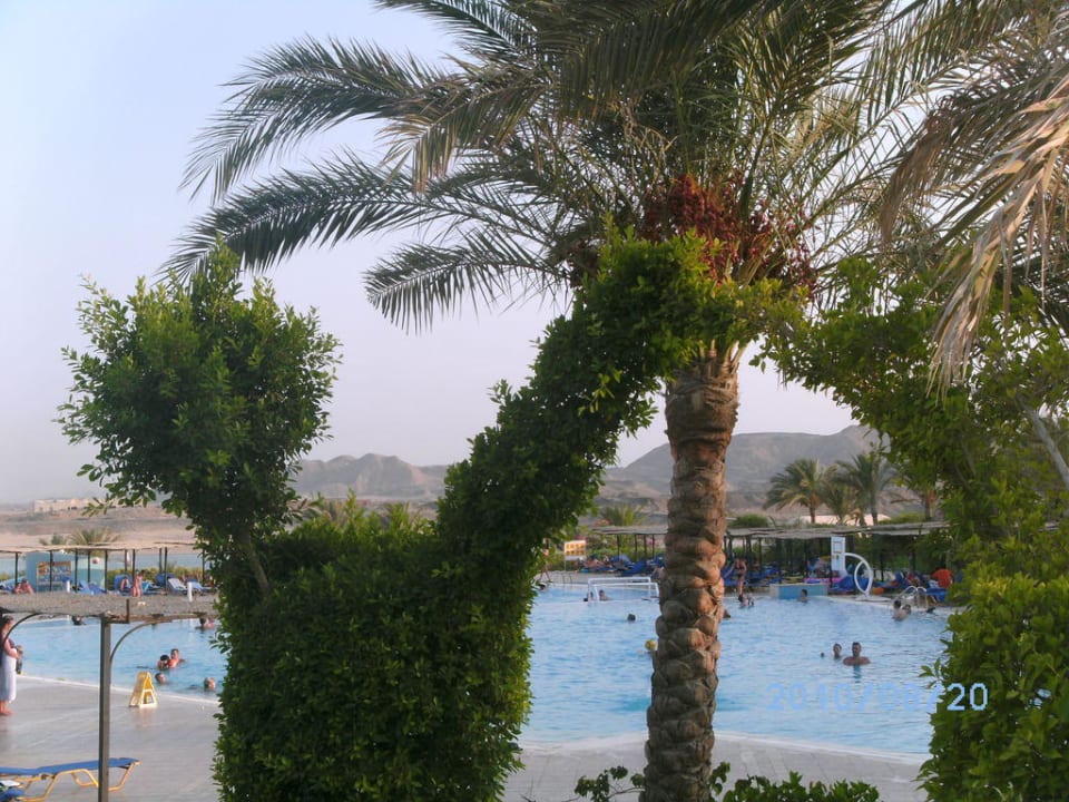 Blick zum Activity-Pool TUI MAGIC LIFE Kalawy