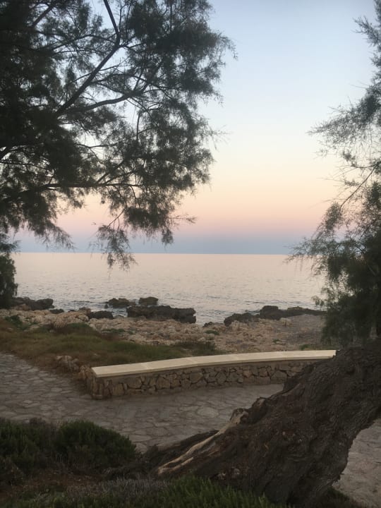 Strand CM Playa del Moro