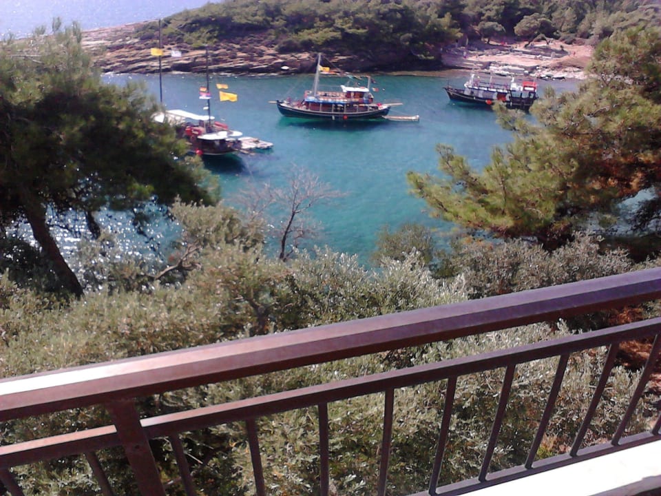 Schiffe mit Touristen von der Insel zu der archäol Gorgona Rooms