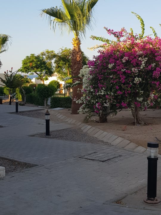 Gartenanlage Coral Beach Hurghada
