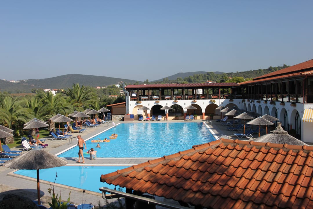 Pool Blue Dolphin Resort Hotel