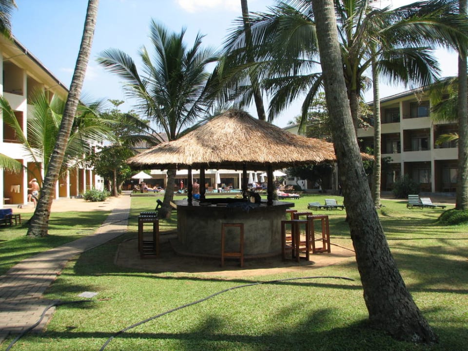 Bar  Mermaid Hotel & Club