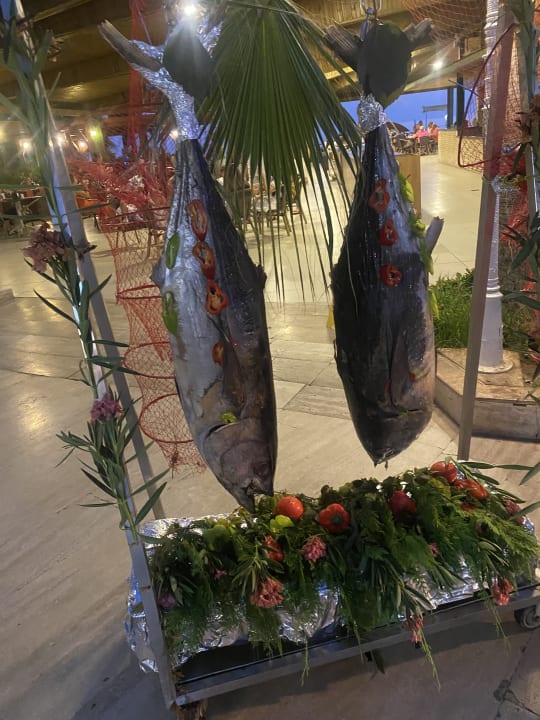 Gastro Oz Hotels Incekum Beach