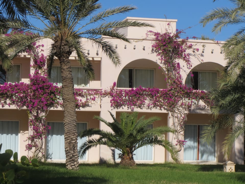 Alle Bungalows haben Namen Zita Beach Resort