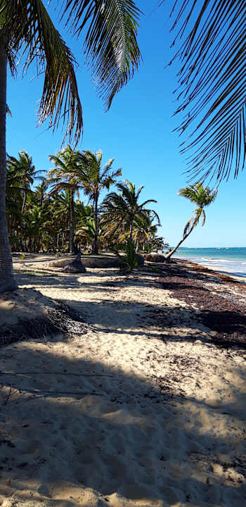 Strand Wyndham Alltra Punta Cana