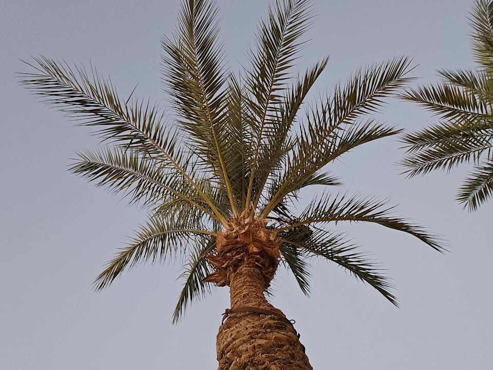 Strand Serry Beach Resort