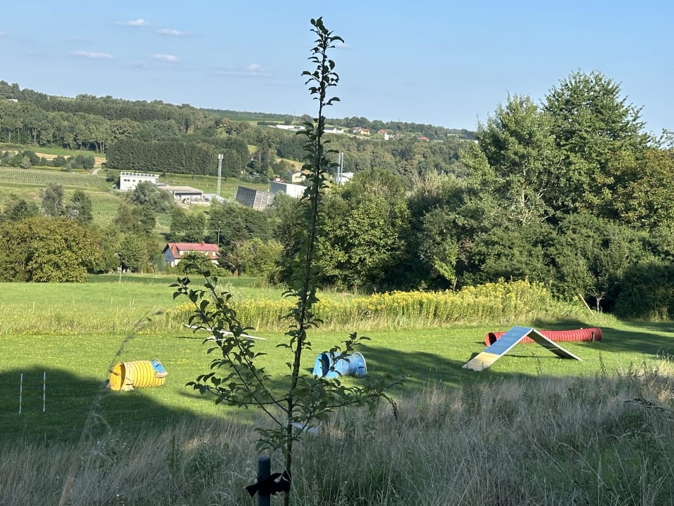 Ausblick Hotel & Spa Larimar