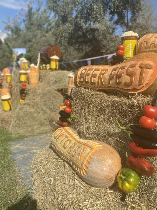 Gartenanlage FUN&SUN Smart Hane Sun Hotel