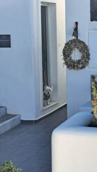 Sonstiges Hotel Agali Houses