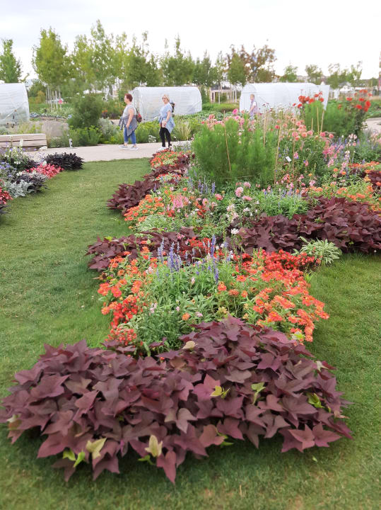 Gartenanlage IntercityHotel Mannheim