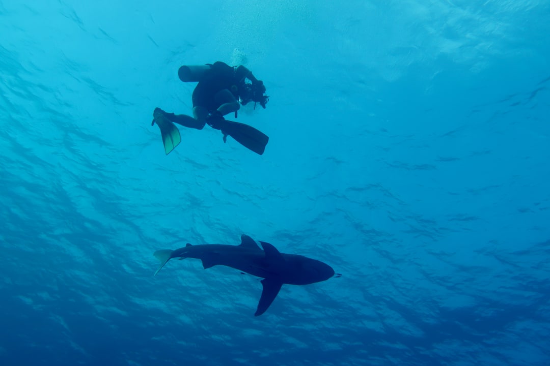 Strand Hotel Gorgonia Beach Resort