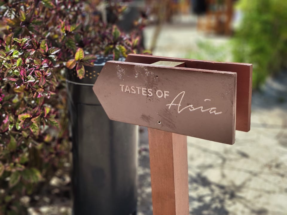 Sonstiges TUI Blue Bahari Zanzibar