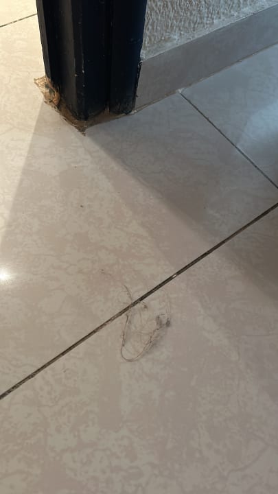 Sonstiges Hotel Eden Star