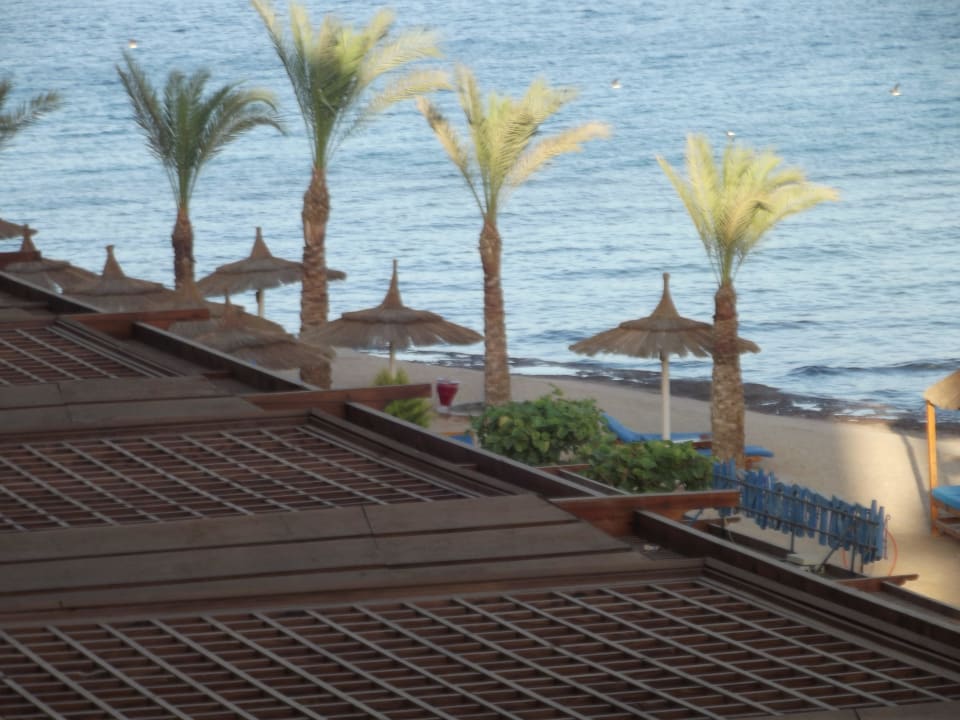 Blick vom Balkon Beach Albatros Resort