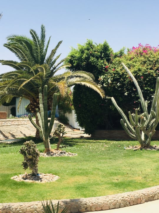 Gartenanlage Golden Beach Resort