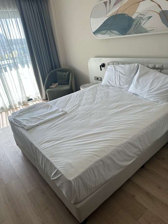 Zimmer Royal Atlantis Icon