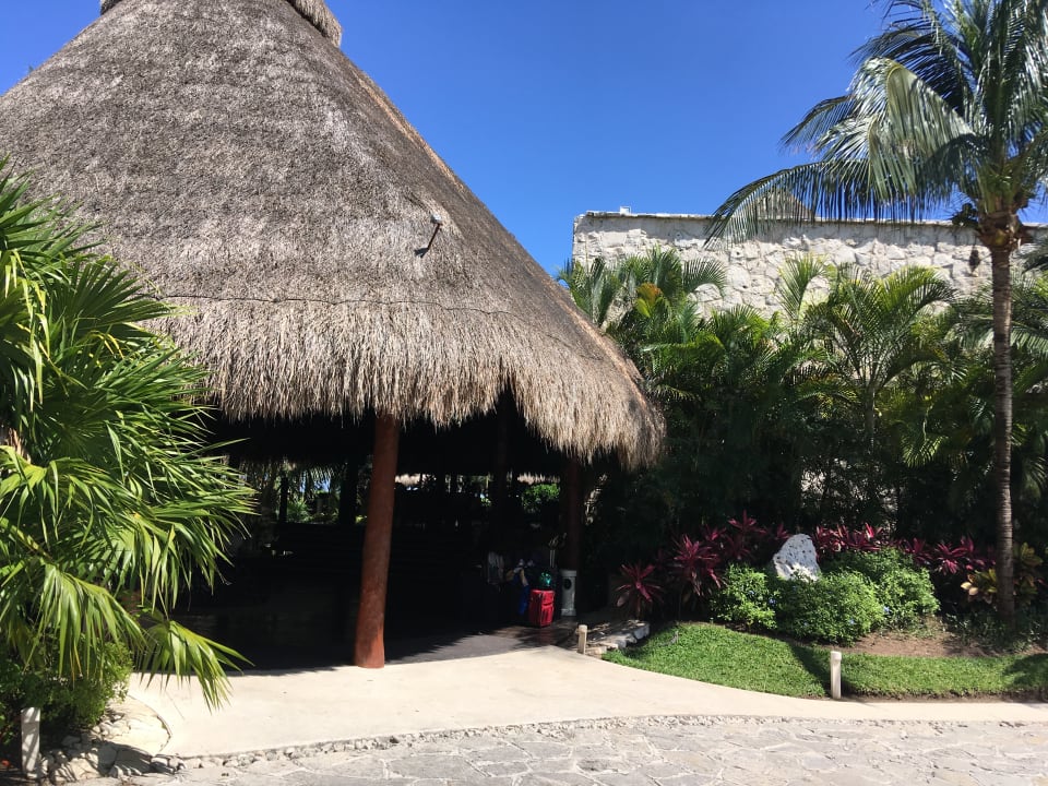Lobby Akumal Bay Beach & Wellness Resort