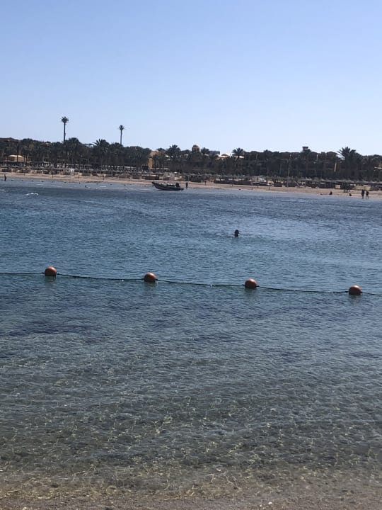 Strand Steigenberger Coraya Beach - Adults only