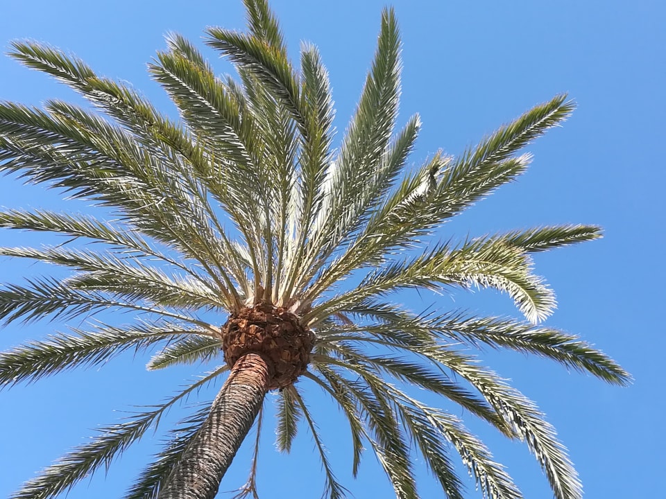 Sonstiges Sahara Beach Club