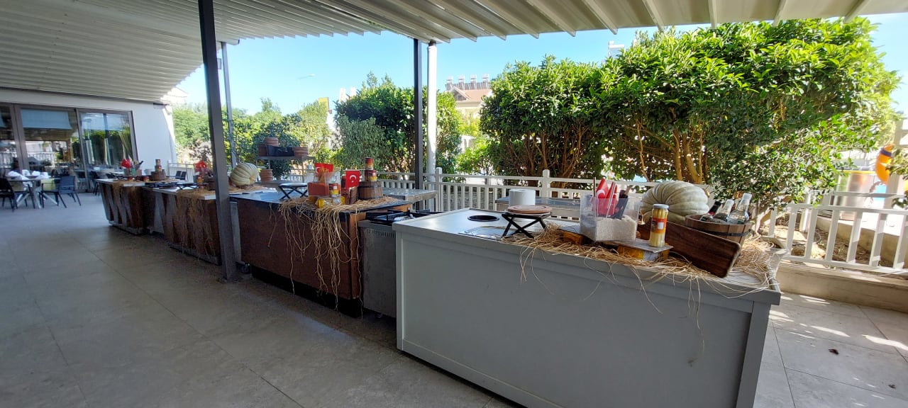 Gastro Seashell Vega